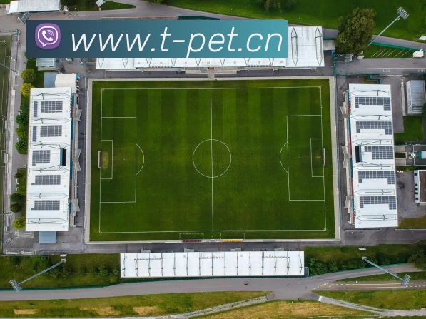 乐竞在线登陆APP 高清赛事图